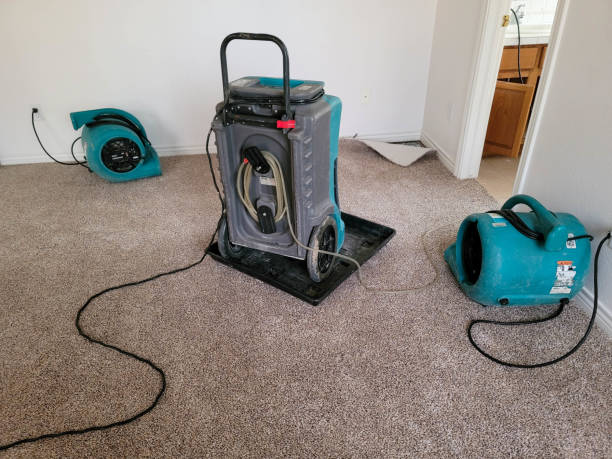 Best Residential water damage restoration  in Emerson, GA