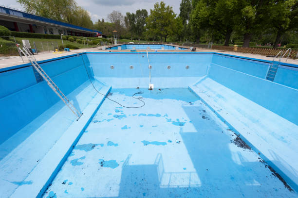 Best Professional water damage repair  in Emerson, GA