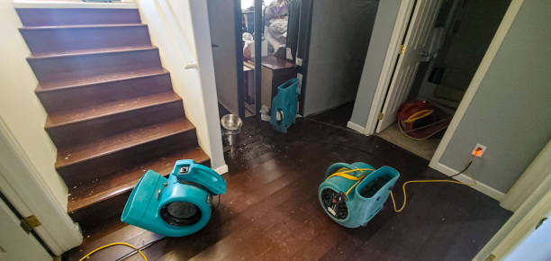 Reliable Emerson, GA Water damage restoration Solutions