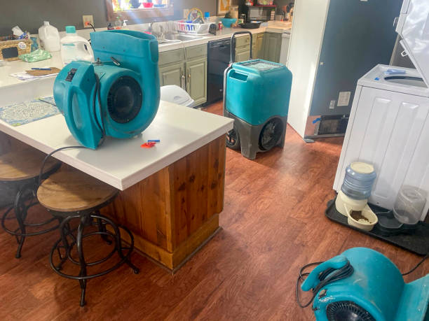 Best Water damage contractors near me  in Emerson, GA