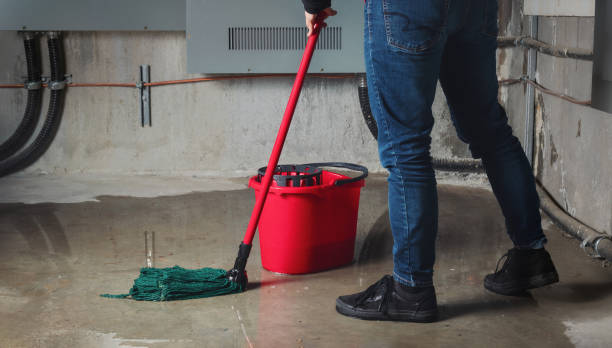 Best Flood damage cleanup  in Emerson, GA