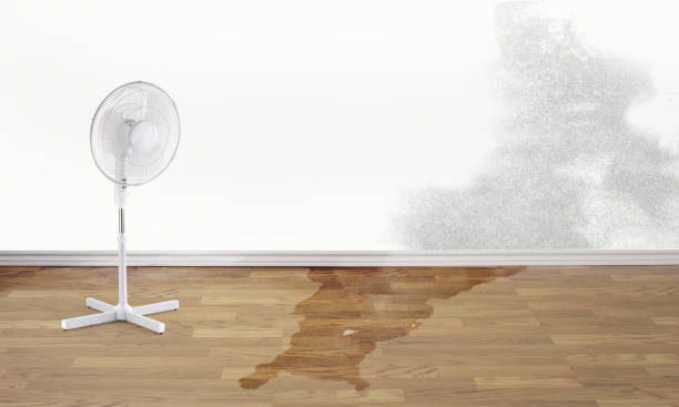 Best Local water damage restoration  in Emerson, GA