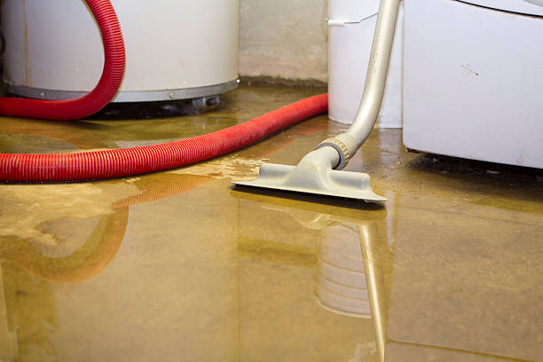 Best Water damage restoration near me  in Emerson, GA