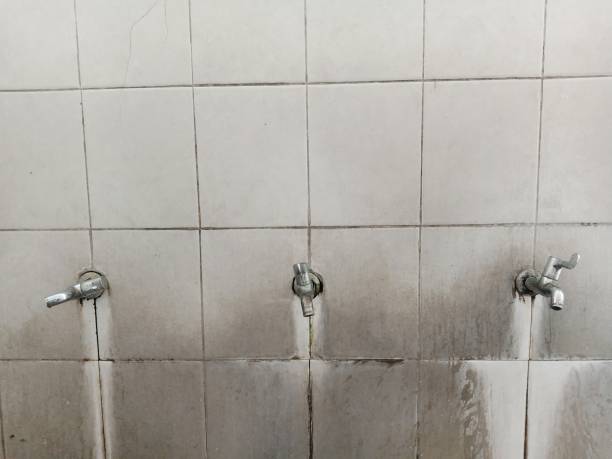 Best Water damage restoration mold remediation  in Emerson, GA