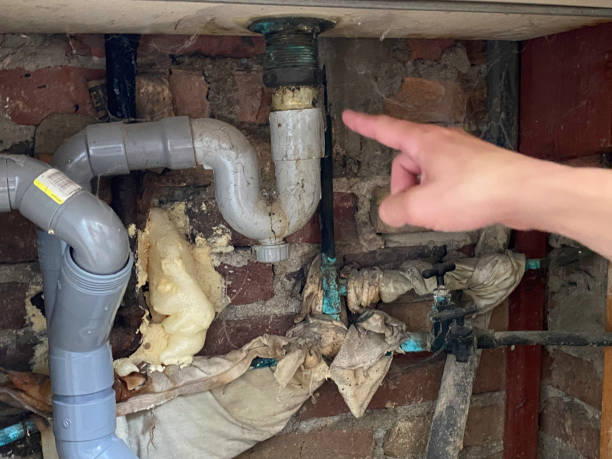 Best Mold removal after water damage  in Emerson, GA