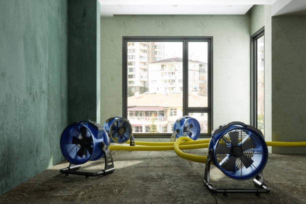 Best Ceiling water damage repair  in Emerson, GA